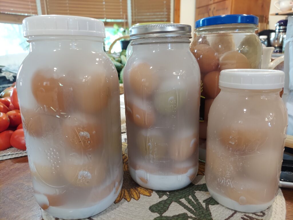 waterglassing eggs in glass jars